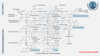 Dr Faiza Ikram, Asst. Prof. Physiology 6
info@medicoseacademics.com
0310-7990649
21,19,18-carbon steroids
 