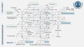 Dr Faiza Ikram, Asst. Prof. Physiology 7
info@medicoseacademics.com
0310-7990649
Aldosterone synthase
Aldosterone
 