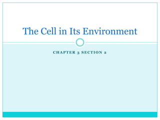 Chapter 3 section 2 The Cell in Its Environment 