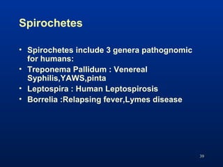 Spirochetes
39
• Spirochetes include 3 genera pathognomic
for humans:
• Treponema Pallidum : Venereal
Syphilis,YAWS,pinta
...
