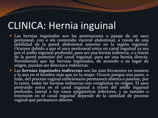 CLINICA: Hernia inguinalLas hernias inguinales son las protrusiones o pasaje de un saco peritoneal, con o sin contenido visceral abdominal, a través de una debilidad de la pared abdominal anterior en la región inguinal. Ocurren debido a que el saco peritoneal entra en canal inguinal ya sea por el anillo inguinal profundo, para ser una hernia indirecta, o a través de la pared posterior del canal inguinal, para ser una hernia directa. Permitiendo que las hernias inguinales, de acuerdo a su lugar de origen, puedan ser directas e indirectas.Las hernias inguinales indirectas son las más frecuentes en numero y lo son en el hombre más que en la mujer. Ocurre porque una parte, o toda, del proceso vaginal embrionario permanece abierta o patente, por lo tanto, todas las hernias indirectas son congénitas en origen. El saco protruido entra en el canal inguinal a través del anillo inguinal profundo, lateral a los vasos epigástricos inferiores, y su tamaño o extensión en el canal inguinal depende de la cantidad de proceso vaginal que permanece abierto.  