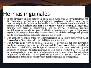 Hernias inguinalesEn las directas, el saco peritoneal entra en la parte medial terminal del canal directamente a través de una debilidad en la pared posterior de la pared, por lo tanto es adquirida ya que se desarrolla cuando la musculatura abdominal se debilita, en el llamado Triangulo de Hasselbach o triangulo inguinal, limitado por fuera o lateralmente por la arteria epigástrica inferior, medialmente o por dentro por el MRAA, e inferiormente por el ligamento inguinal. Este tipo de hernia no atraviesa la totalidad del canal inguinal, pero si puede emerger a través del anillo inguinal superficial. Una estructura considerada un engrosamiento de la fascia transversalis, el tracto íliopúbico , sigue el curso del ligamento inguinal. Una hernia reducible es aquella en la que el contenido del saco herniario puede ser recolocado en su posición normal; la incarcerada [encarcelada] es una hernia irreducible, en la que el contenido del saco herniario queda atrapado en al ingle; la estrangulada, es una hernia irreducible, en la que el intestino queda fuertemente atrapado o retorcido; de este modo, la circulación sanguínea se detiene , y se produce gangrena, a menos que se libere rápidamente. Implica un riesgo vital y requiere cirugía de emergencia.22