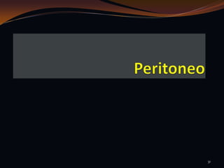 Peritoneo31