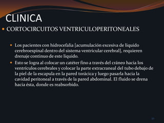 CLINICACORTOCIRCUITOS VENTRICULOPERITONEALES Los pacientes con hidrocefalia [acumulación excesiva de liquido cerebroespinal dentro del sistema ventricular cerebral], requieren drenaje continuo de este liquido.Esto se logra al colocar un catéter fino a través del cráneo hacia los ventrículos cerebrales y colocar la parte extracraneal del tubo debajo de la piel de la escapula en la pared torácica y luego pasarla hacia la cavidad peritoneal a través de la pared abdominal. El fluido se drena hacia ésta, donde es reabsorbido. 39