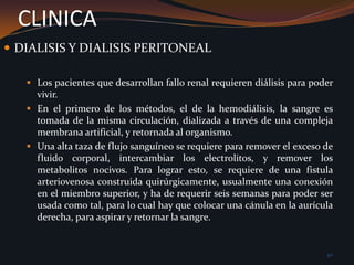 CLINICALos pacientes que desarrollan fallo renal requieren diálisis para poder vivir.
