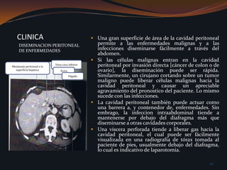 Una alta taza de flujo sanguíneo se requiere para remover el exceso de fluido corporal, intercambiar los electrolitos, y remover los metabolitos nocivos. Para lograr esto, se requiere de una fistula arteriovenosa construida quirúrgicamente, usualmente una conexión en el miembro superior, y ha de requerir seis semanas para poder ser usada como tal, para lo cual hay que colocar una cánula en la aurícula derecha, para aspirar y retornar la sangre. 40DIALISIS Y DIALISIS PERITONEAL