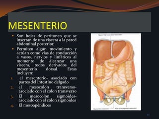 CLINICADISEMINACION PERITONEAL DE ENFERMEDADESUna gran superficie de área de la cavidad peritoneal permite a las enfermedades malignas y a las infecciones diseminarse fácilmente a través del abdomen. 