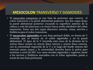 La cavidad peritoneal también puede actuar como una barrera a, y contenedor de, enfermedades. Sin embrago, la infeccion intraabdominal tiende a mantenerse por debajo del diafragma más que diseminarse a otras cavidades corporales. 