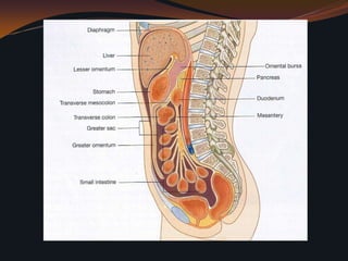 El omento mayor es también un sitio importante de diseminación de metástasis, la diseminación directa al omento es común en el cáncer de ovario, el cual reacciona aumentando su grosor, esto se traduce a la laparotomía o al hallazgo en TAC como el  omento en pastel.     43