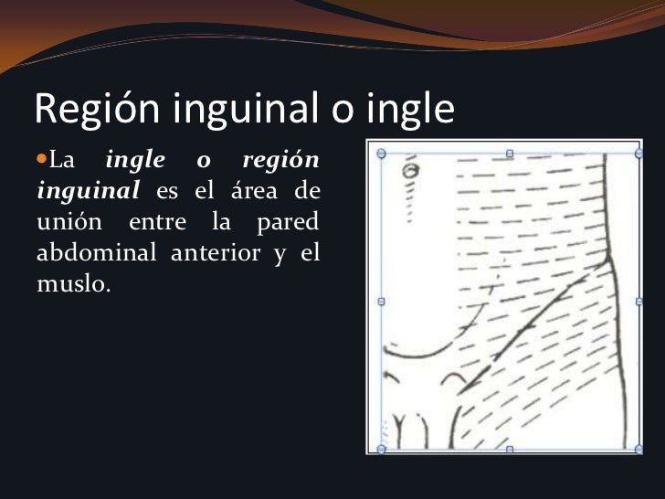 3.2 canal inguinal y peritoneo