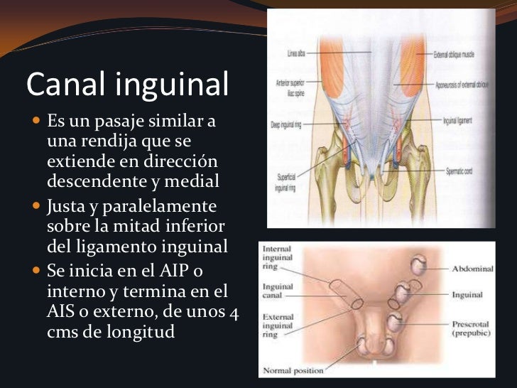 La salitsilovo-atutía del hongo de las uñas
