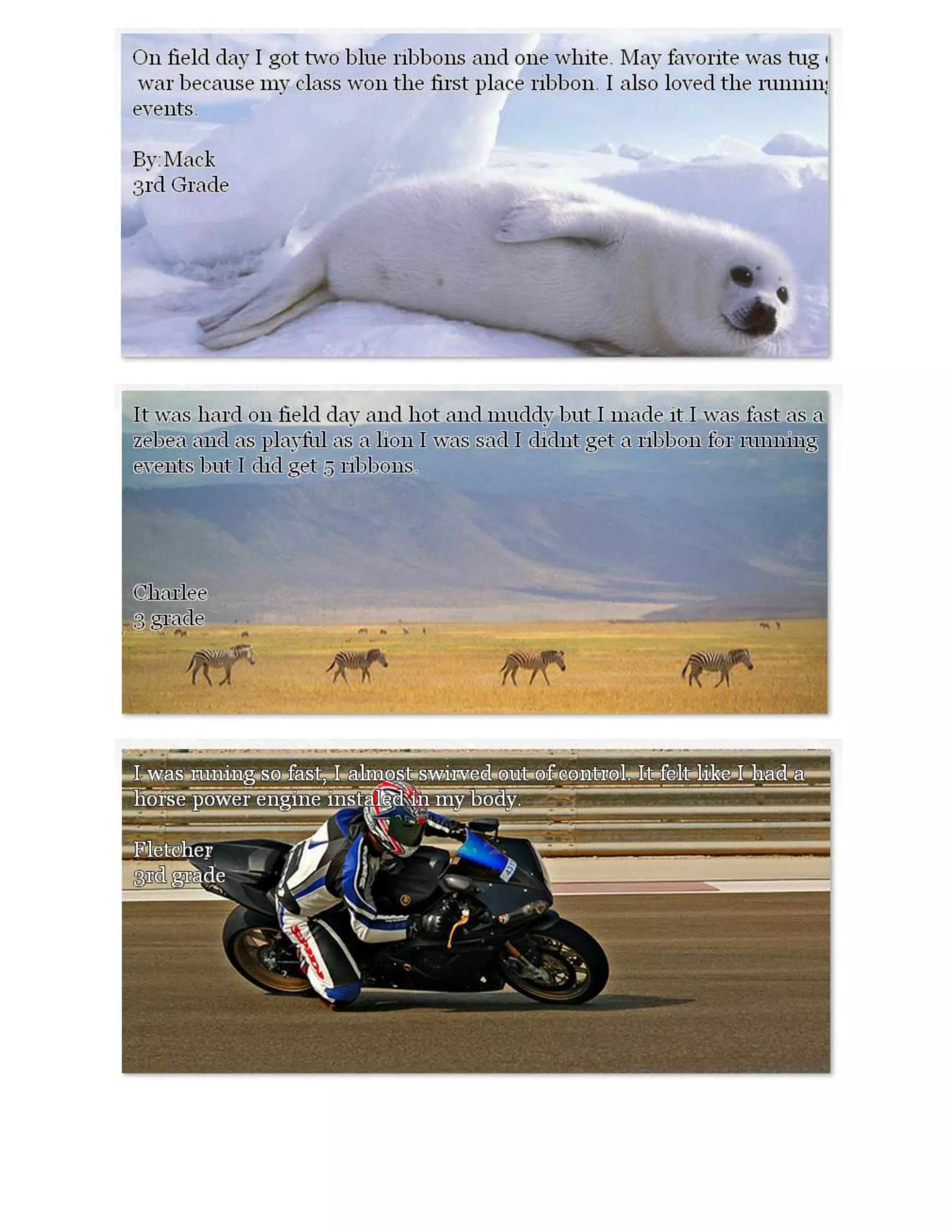 Quick Write about Field Day: 3.2