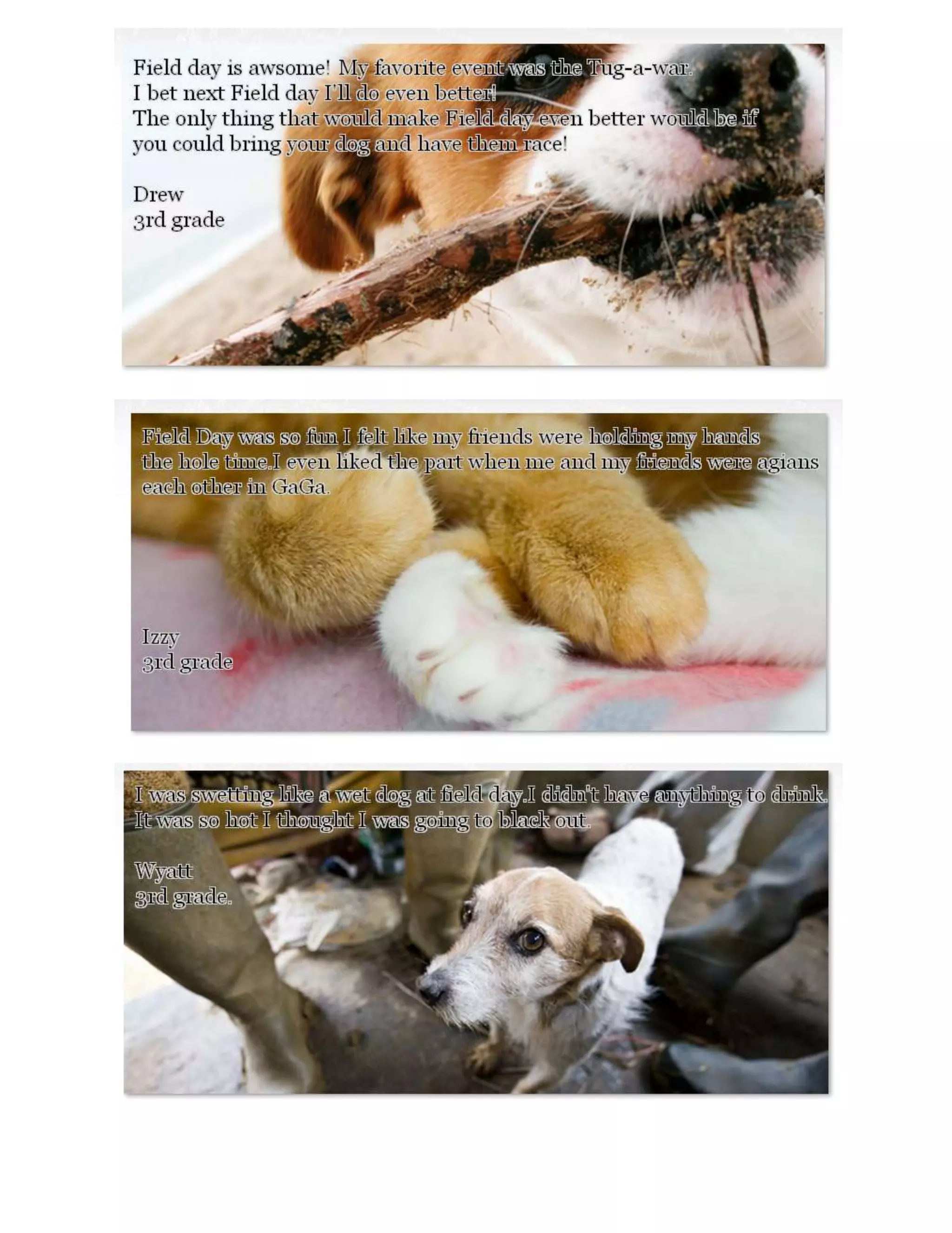 Quick Write about Field Day: 3.2