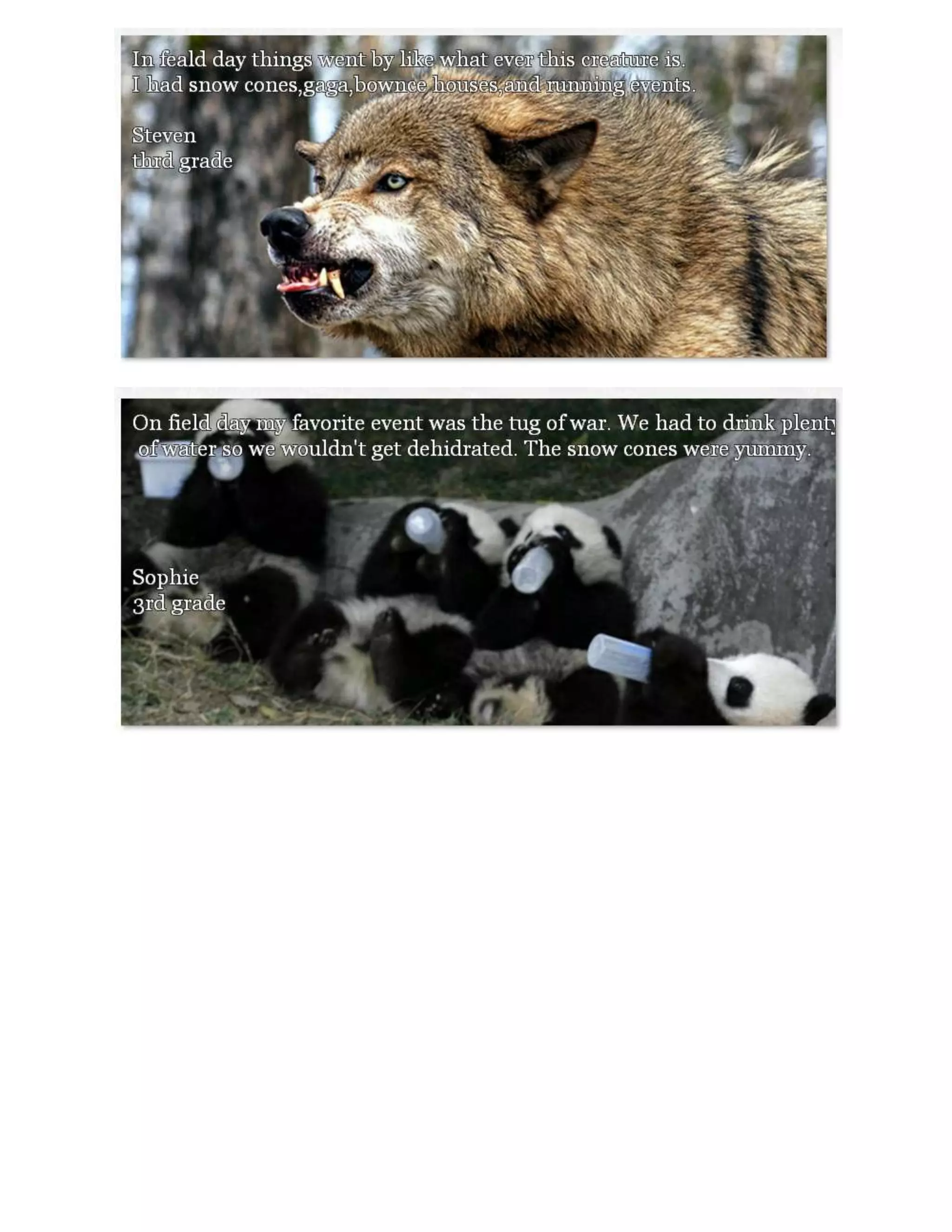 Quick Write about Field Day: 3.2