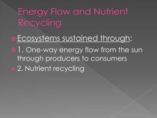 3 2 major components of an ecosystem | PPTX