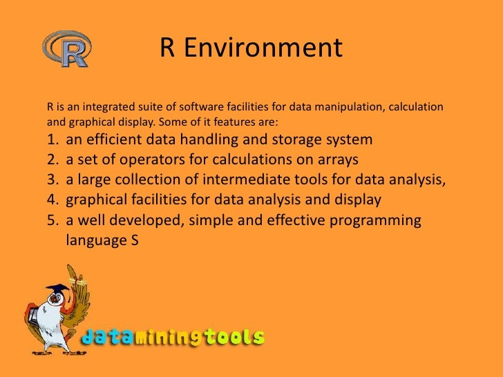 R Environment