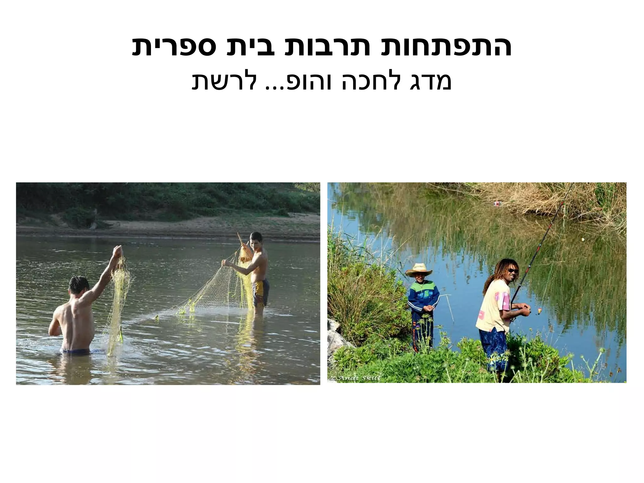 התפתחות תרבות בית ספרית מדג לחכה והופ ...  לרשת 