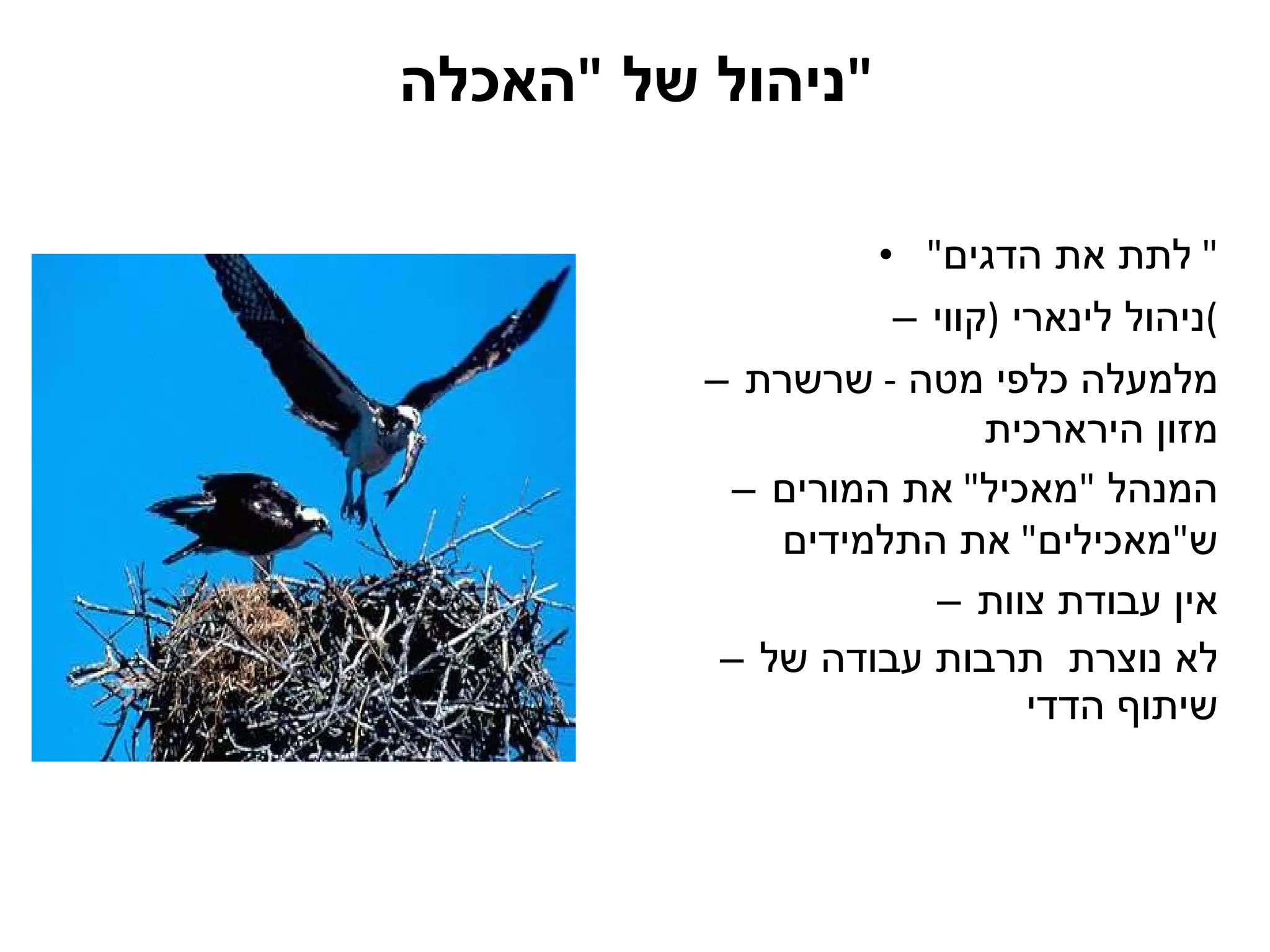 ניהול של  " האכלה " " לתת את הדגים "  ניהול לינארי  ( קווי ) מלמעלה כלפי מטה  -  שרשרת מזון הירארכית המנהל  " מאכיל "  את המורים ש " מאכילים "  את התלמידים אין עבודת צוות לא נוצרת  תרבות עבודה של שיתוף הדדי 