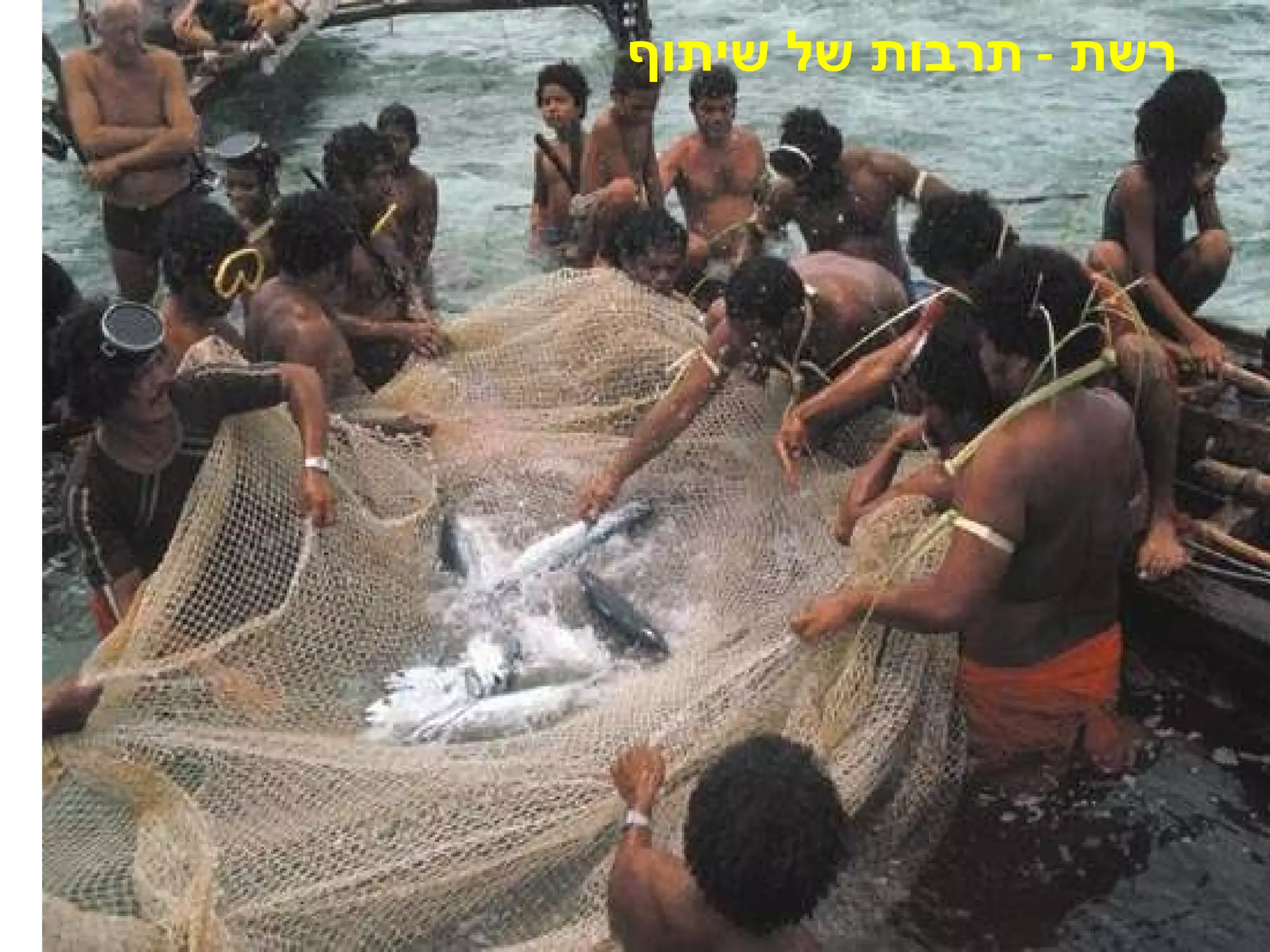 תרבות של שיתוף רשת  -  תרבות של שיתוף 