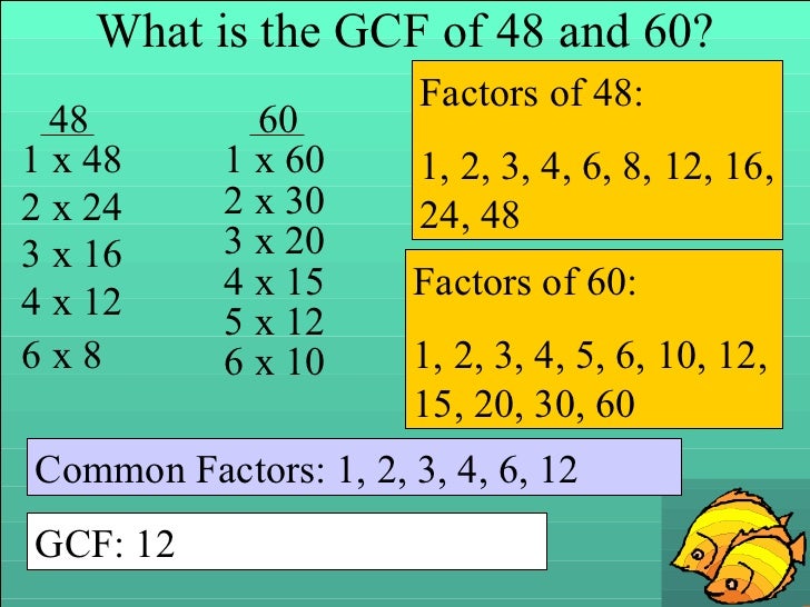 Gcf Of 30 And 48 3 3