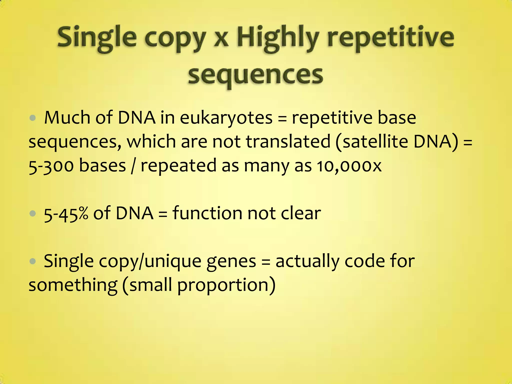 Counting Carbons...Anti-parallel strandsOne side 5’  3’Other side 3’  5’