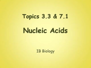 Topics 3.3 & 7.1Nucleic Acids IB Biology 