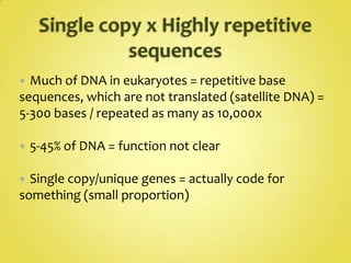Counting Carbons...Anti-parallel strandsOne side 5’  3’Other side 3’  5’