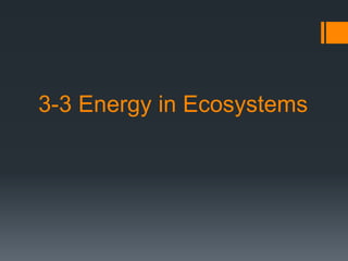 3-3 Energy in Ecosystems
 