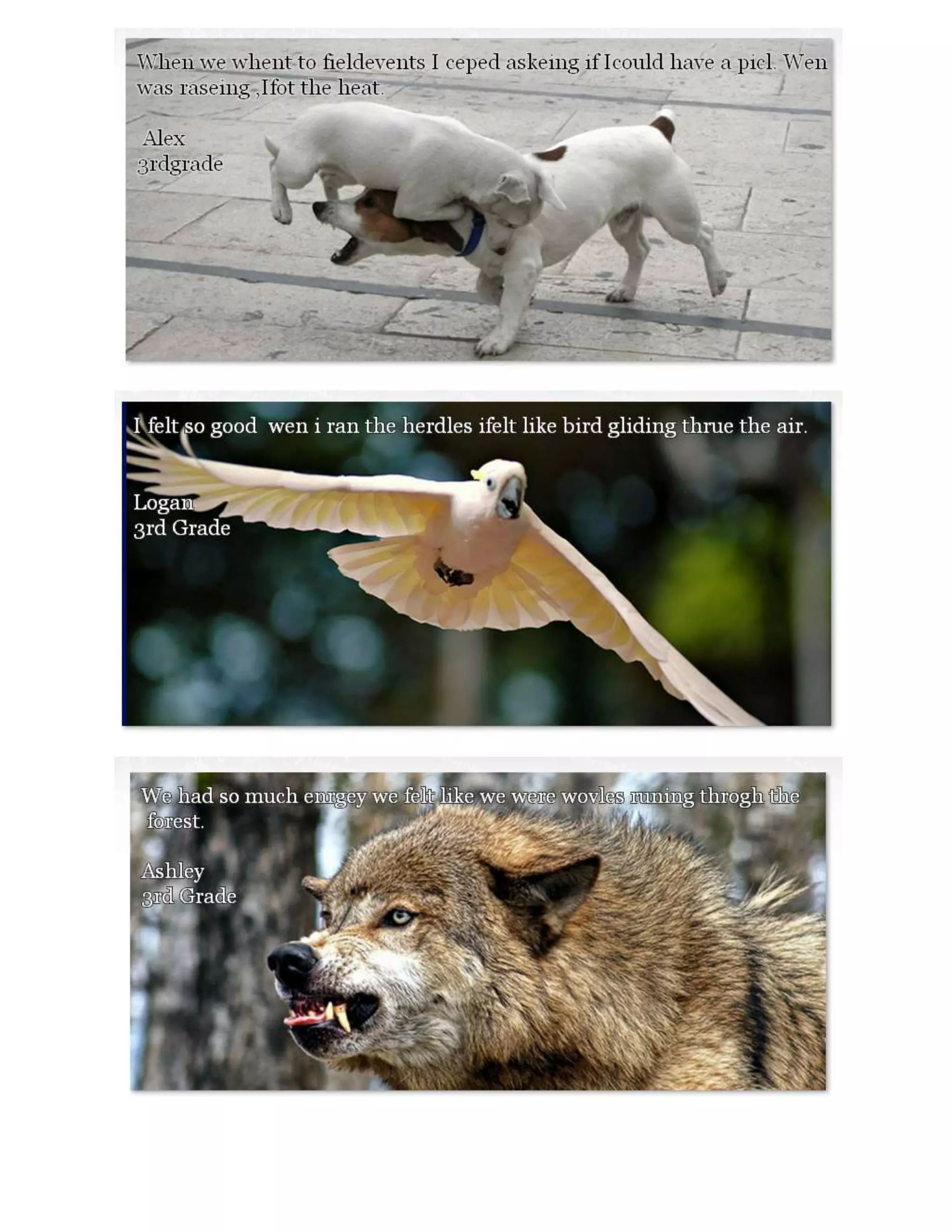 Quick Write about Field Day: 3.3