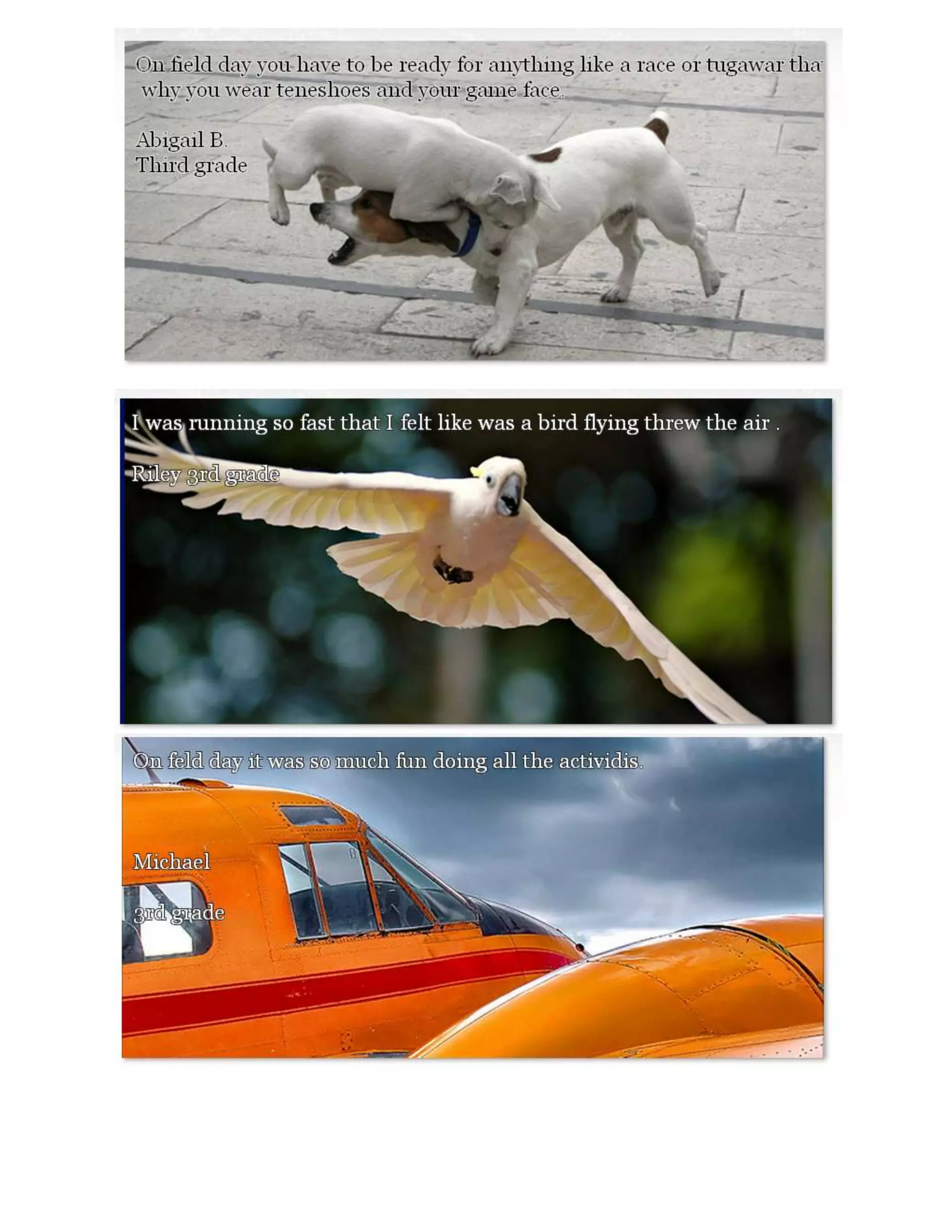 Quick Write about Field Day: 3.3