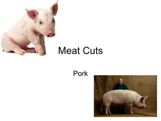 Meat Cuts Pork 
