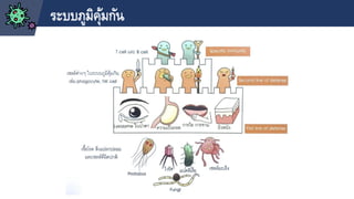 ระบบภูมิคุ้มกัน
 