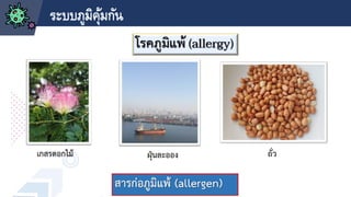 ระบบภูมิคุ้มกัน
 