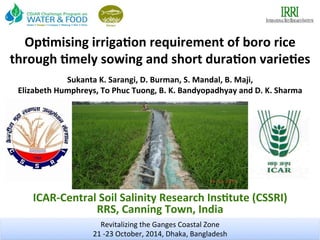 Op#mising	
  irriga#on	
  requirement	
  of	
  boro	
  rice	
  
through	
  #mely	
  sowing	
  and	
  short	
  dura#on	
  varie#es	
  
	
  
ICAR-­‐Central	
  Soil	
  Salinity	
  Research	
  Ins#tute	
  (CSSRI)	
  
RRS,	
  Canning	
  Town,	
  India	
  
	
  Revitalizing	
  the	
  Ganges	
  Coastal	
  Zone	
  
21	
  -­‐23	
  October,	
  2014,	
  Dhaka,	
  Bangladesh	
  
Sukanta	
  K.	
  Sarangi,	
  D.	
  Burman,	
  S.	
  Mandal,	
  B.	
  Maji,	
  	
  
Elizabeth	
  Humphreys,	
  To	
  Phuc	
  Tuong,	
  B.	
  K.	
  Bandyopadhyay	
  and	
  D.	
  K.	
  Sharma	
  
	
  
 