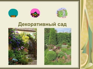 Декоративный сад 