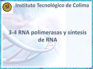 Instituto Tecnológico de Colima 3-4 RNA polimerasas y síntesis de RNA 