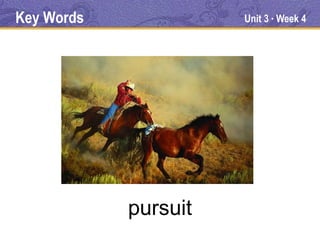 Key Words             Unit 3 Week 4
                           ●




            pursuit
 