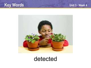 Key Words              Unit 3 Week 4
                            ●




            detected
 