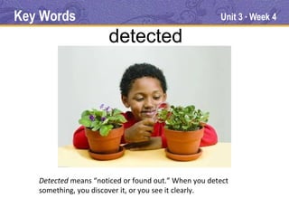 Key Words                                             Unit 3 Week 4
                                                            ●




                      detected




   Detected means “noticed or found out.” When you detect
   something, you discover it, or you see it clearly.
 