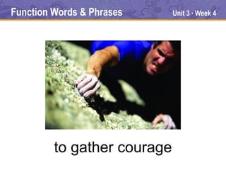 Function Words & Phrases     Unit 3 Week 4
                                  ●




         to gather courage
 