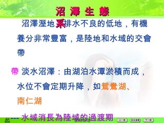  沼澤溼地 ： 排水不良的低地，有機養分非常豐富，是陸地和水域的交會帶  淡水沼澤 ： 由湖泊水潭淤積而成，水位不會定期升降，如 鴛鴦湖 、 南仁湖 --- 水域消長為陸域的過渡期  鹹水沼澤 ： 河口生態系 沼 澤 生 態 系  