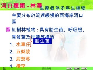  主要分布於流速緩慢的西海岸河口區  紅樹林植物 ： 具有胎生苗、呼吸根、 厚質葉及排鹽等構造 1.  水筆仔 2.  五梨跤 3.  海茄苳 4.  欖李 胎生苗 河口種類 - 林澤 生產者為多年生植物 