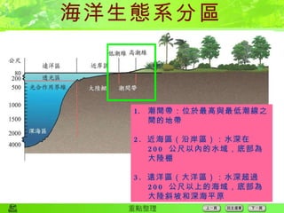 海洋生態系分區 潮間帶：位於最高與最低潮線之間的地帶 2.  近海區（沿岸區）：水深在  200  公尺以內的水域，底部為大陸棚 3.  遠洋區（大洋區）：水深超過  200  公尺以上的海域，底部為大陸斜坡和深海平原 
