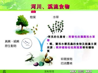 河川、溪流食物鏈 常見的生產者： 附著性的藻類和水草等 蝦、蟹和水棲昆蟲的食物及能量主要來源： 兩岸植物枯枝與落葉 等有機物質 