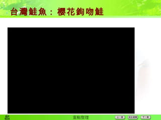 台灣鮭魚 :  櫻花鉤吻鮭 