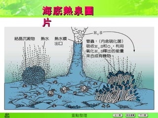 海底熱泉圖片 