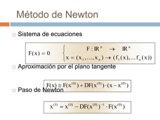 Método de Newton Sistema de ecuaciones Aproximación por el plano tangente Paso de Newton 