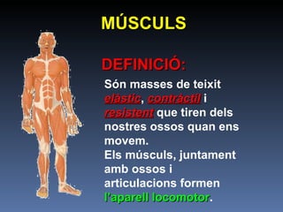 Són masses de teixit  elàstic ,  contràctil  i  resistent  que tiren dels nostres ossos quan ens movem.  Els músculs, juntament amb ossos i articulacions formen  l’aparell locomotor .  DEFINICIÓ: MÚSCULS 