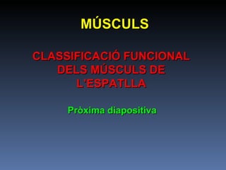 MÚSCULS CLASSIFICACIÓ FUNCIONAL DELS MÚSCULS DE L’ESPATLLA Pròxima diapositiva 