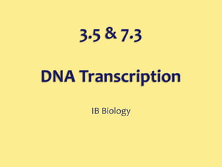 3.5 & 7.3DNA Transcription IB Biology 